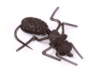 Ant Misbehavin Logans K&#246;p 12 flugor och f&#229; en gratis flugask