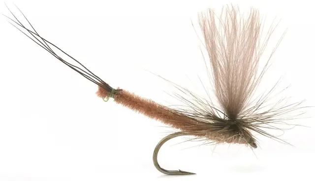 Vulgata Dun #10 Kjøp 12 fluer få gratis flueboks 