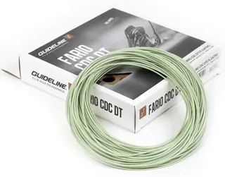 Guideline Fario CDC DT