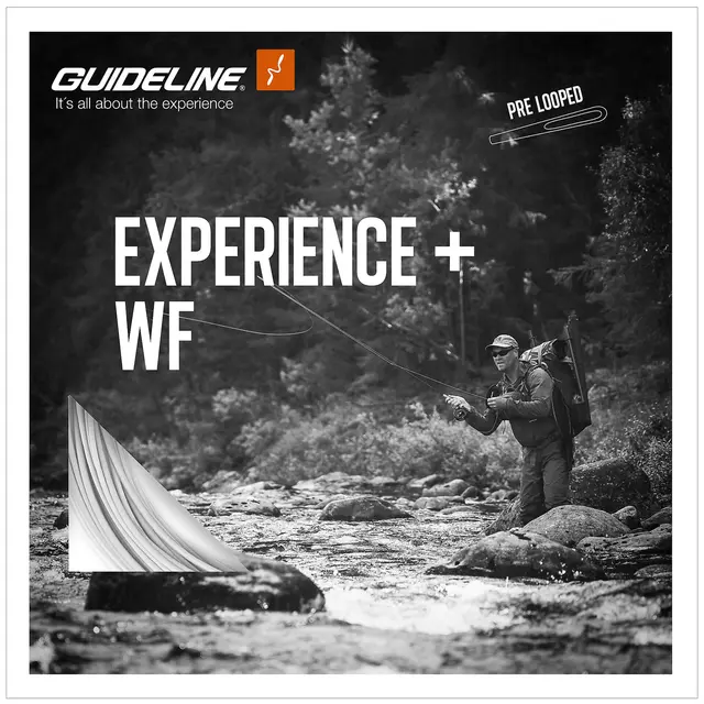Guideline Experience+ WF #4 
