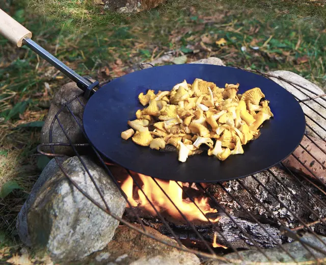 Hällmark Kullepanne 28cm COAM PAN med fällbart ekhandtag 