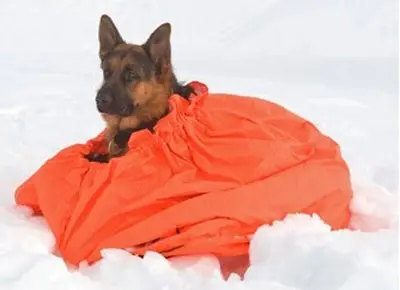 Jerven Jervehiet Hundväska Large Orange Fjellduken för din hund - upp till 40kg 
