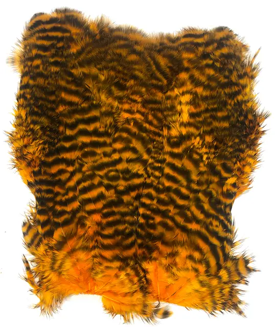 Softhackle patch Grizzly Golden Orange Supermjuka hackles 