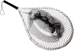 Lawson Öringhåv 38x30cm