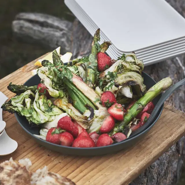 Light My Fire RamenPlate 4-pk Sage Green Allsidig og stablebar tallerken 