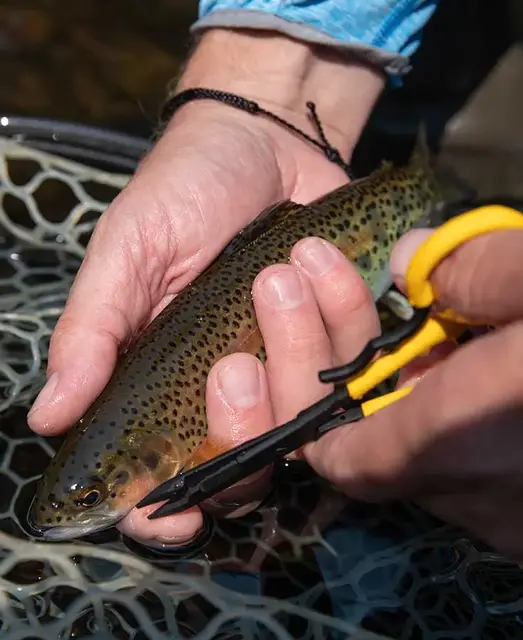 Loon Hitch Pin Forceps Hemostat med hitch pin festemulighet 