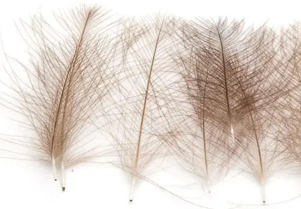 Marc Petitjean CDC 1g - Beige kvalitets matrial 