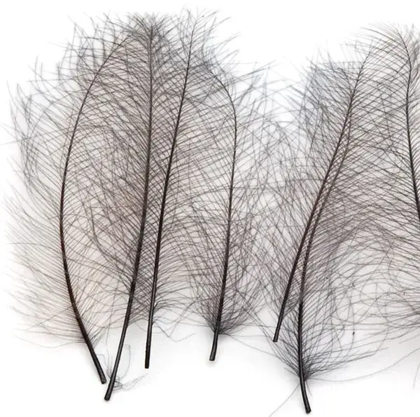 Marc Petitjean CDC 1g - Bistre kvalitets matrial 