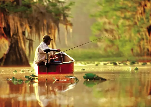 Minn Kota Endura MAX 45, 36" Elektrisk båtmotor, m/Maximizer 