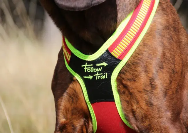 Niggeloh Sele-Follow Trail Harness S Sele för hundar 