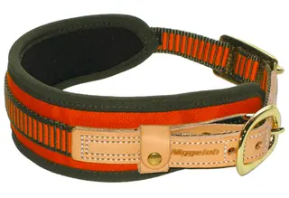 Niggeloh Halsband Blood-Tracking Collar Halsband