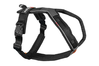 Non-Stop Dogwear Line Harness 5.0 En ergonomisk och m&#229;ngsidig halvsele