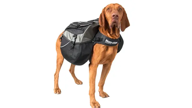 Non-Stop Dogwear Amundsen kloss XXS Toppkvalitets, innovativ kløv 