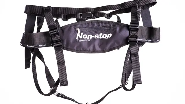Non-Stop Dogwear Running Belt Löparbältet 