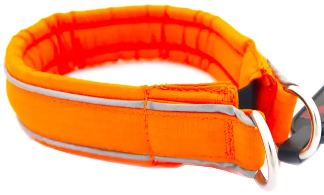 Non-Stop Dogwear Safe Halsband 30 Lossar om hunden fastnar 