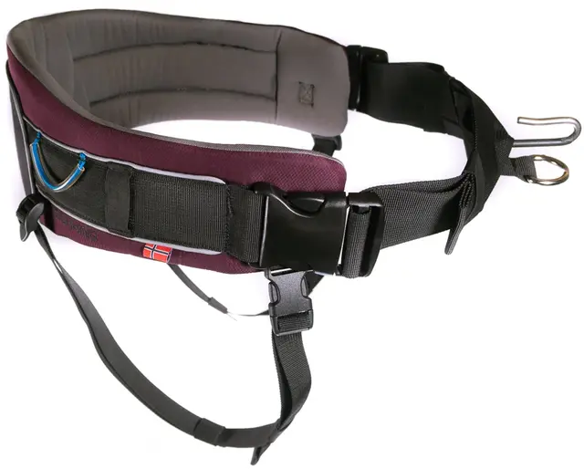 Non-Stop Dogwear Trekking Belt Purple M Hundbälte för alla typer av turer 