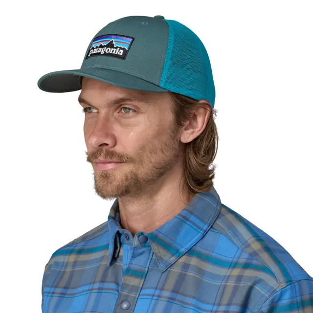 Patagonia P-6 Logo Trucker Hat Nouveau Green 