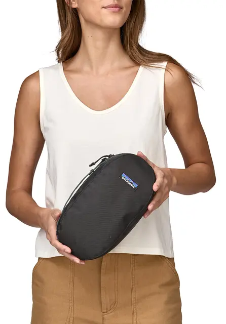 Patagonia Black Hole Cube 3L Sleet Green 