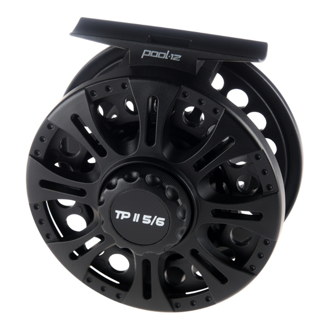 Pool 12 TP 2 #5/6 Fluesnelle til en rimelig penge 