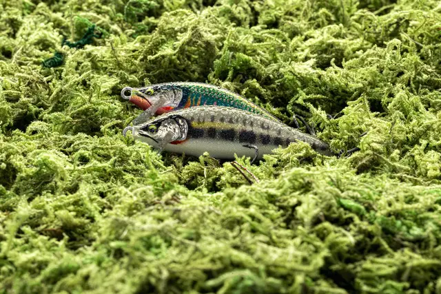 Rapala CountDown Elite GDAY 7,5cm Wobbler med maximalt kastavstånd 