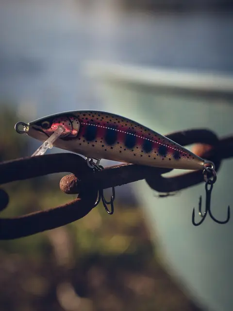 Rapala CountDown Elite GDAY 7,5cm Wobbler med maximalt kastavstånd 