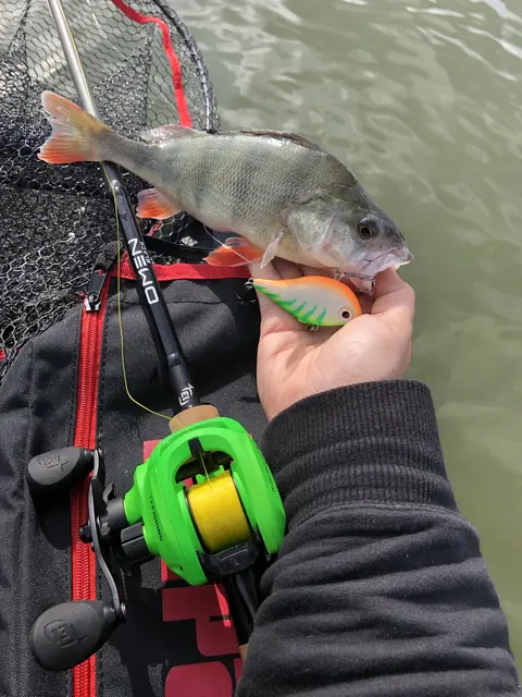 Rapala Rippin Rap BLKL 5cm Vibrationsbete 