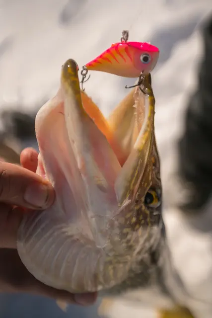 Rapala Rippin Rap BLKL 5cm Vibrationsbete 