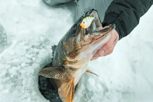 Rapala Rippin Rap BLKL 5cm Vibrationsbete 