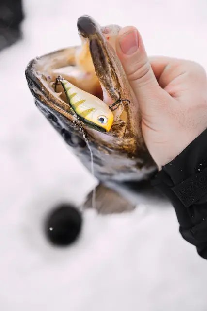 Rapala Rippin Rap BLKL 5cm Vibrationsbete 