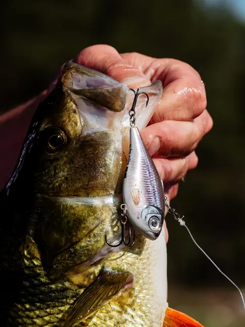 Rapala Rippin Rap BLKL 5cm Vibrationsbete 