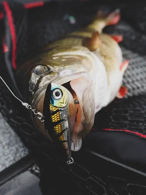 Rapala Rippin Rap BLKL 5cm Vibrationsbete 
