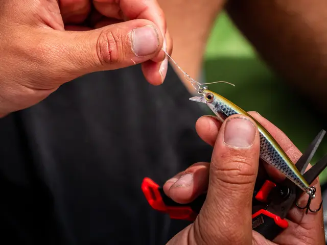 Rapala Shadow Rap BLL 7cm Imitation av döende bytesfisk 