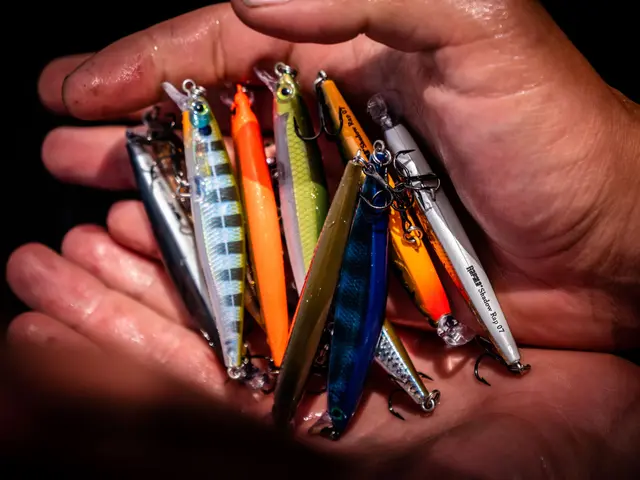 Rapala Shadow Rap BLL 7cm Imitation av döende bytesfisk 