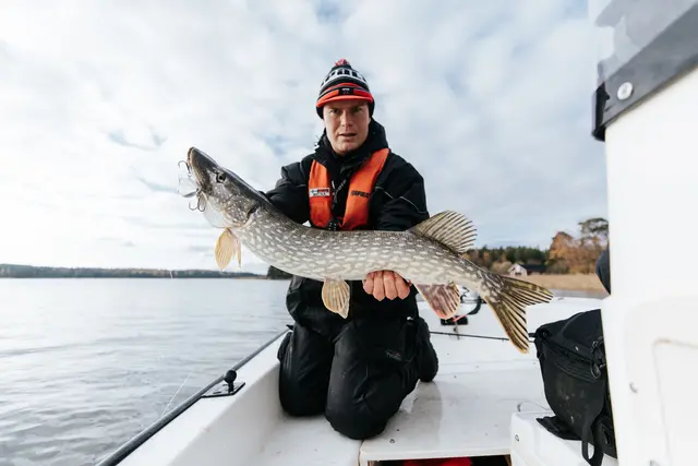 Rapala Super Shadow Rap BGH 16cm Uimotståelig wobbler for predatorer 