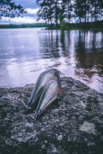 Rapala Super Shadow Rap BGH 16cm Uimotståelig wobbler for predatorer 