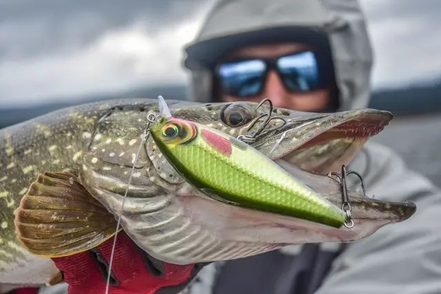 Rapala Super Shadow Rap BGH 16cm Uimotståelig wobbler for predatorer 