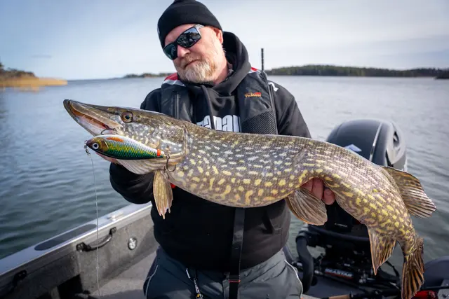 Rapala X-Rap Haku FLM Release Rig Jerkbait 