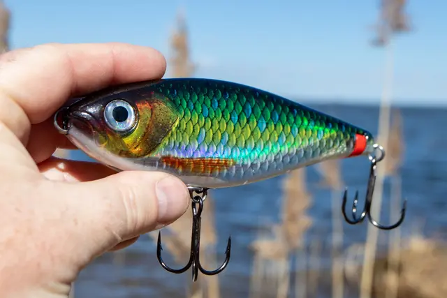 Rapala X-Rap Haku FLM Release Rig Jerkbait 