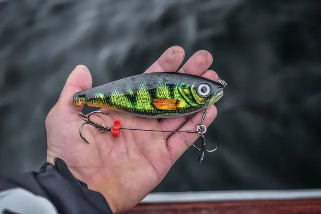 Rapala X-Rap Haku FLM Release Rig Jerkbait 