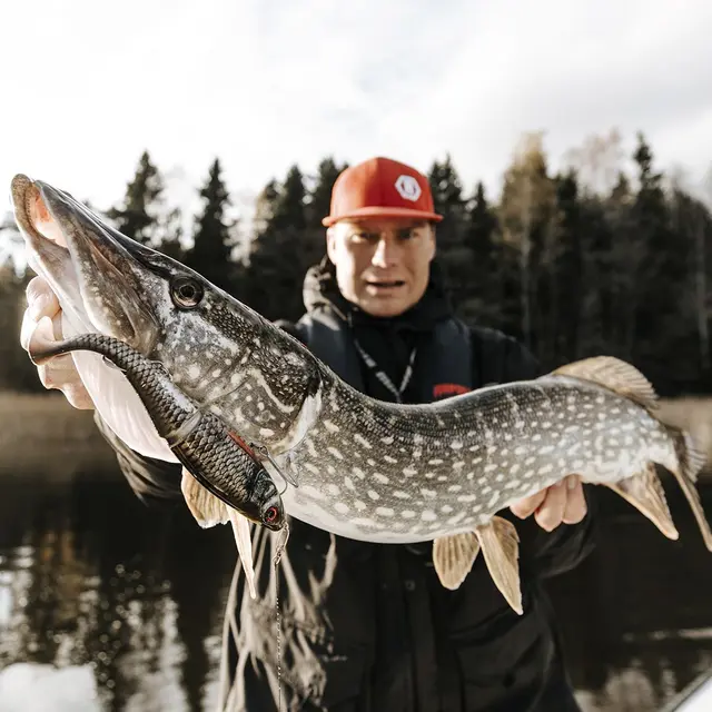 Rapala X-Rap Peto packL 20cm Saktesynkende hybridagn i trigger farger 