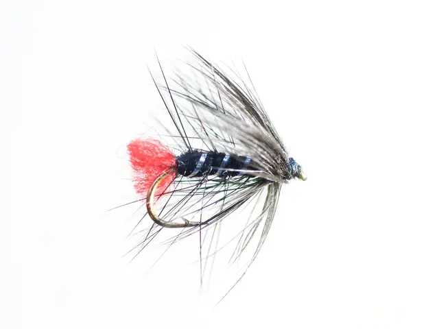 Zulu Black #12 Dubbelkrok 