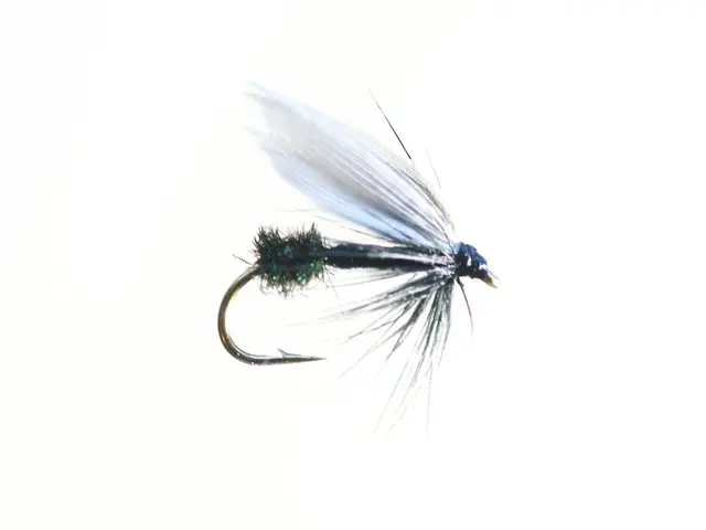 Black Ant #12 Dubbelkrok 