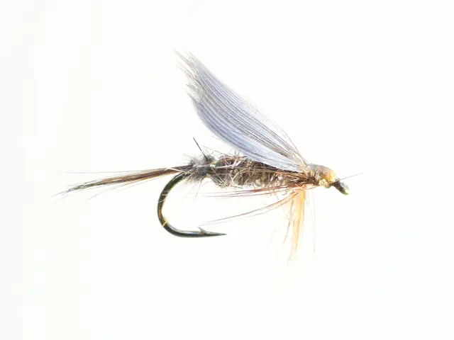 Gold Ribbed Hare's Ear #12 Dubbelkrok 