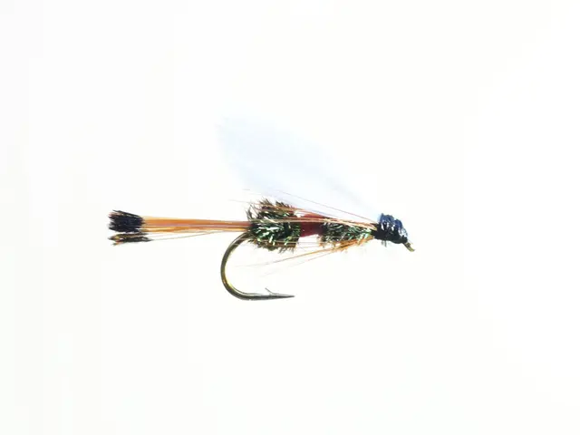 Royal Coachman #8 Dubbelkrok 