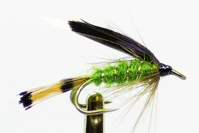 Heckam Peckam Green #8 Dobbelkrok 