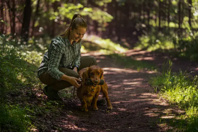 Seeland Larch stretch Byxor Women 36 Grizzly Brown/Duffel Green 