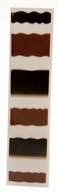 Semperfli Transparent Peccary Quills 0.4mm 