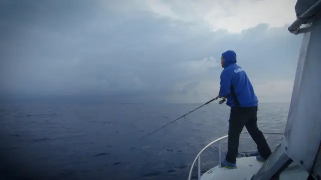 Shimano Stella SW C 4000HG Världens obestridda bästa haspelrulle 