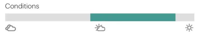 Smith Optics Ember Matte Tortoise Polar Brown 