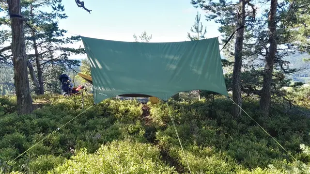 Sydvang Tarp 9 2,9x2,8m Grønn Tarp som beskytter mot regn, vind og sol 